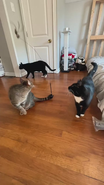 Rotating Cat Teaser Toy with Replaceable Heads