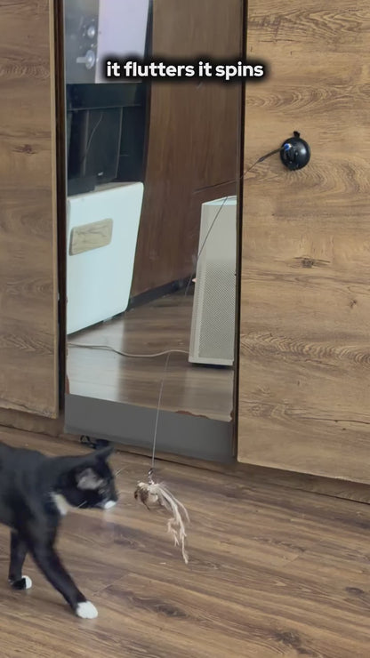 Rotating Cat Teaser Toy with Replaceable Heads