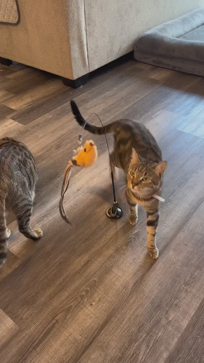 Rotating Cat Teaser Toy with Replaceable Heads